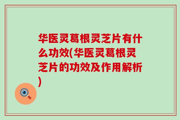 华医灵葛根灵芝片有什么功效(华医灵葛根灵芝片的功效及作用解析)