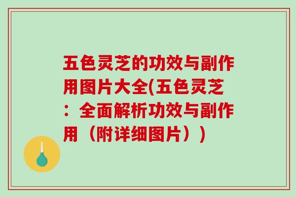 五色灵芝的功效与副作用图片大全(五色灵芝：全面解析功效与副作用（附详细图片）)