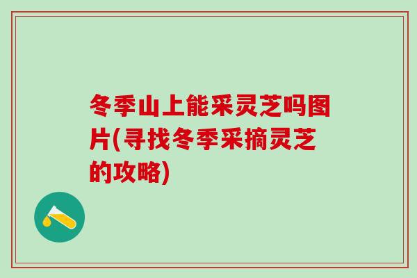 冬季山上能采灵芝吗图片(寻找冬季采摘灵芝的攻略)
