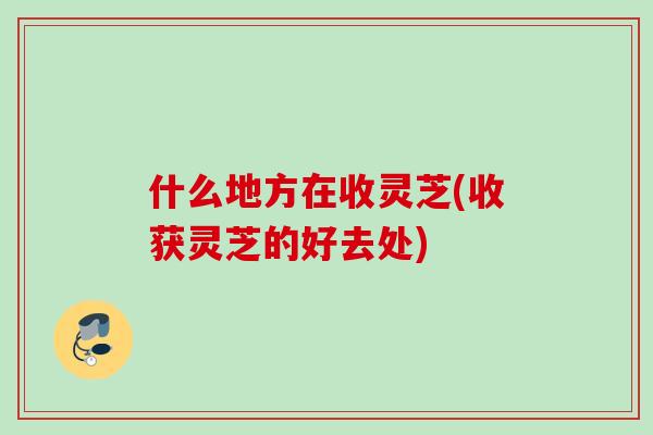 什么地方在收灵芝(收获灵芝的好去处)