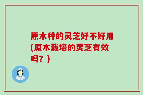 原木种的灵芝好不好用(原木栽培的灵芝有效吗？)