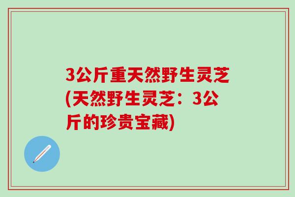 3公斤重天然野生灵芝(天然野生灵芝：3公斤的珍贵宝藏)
