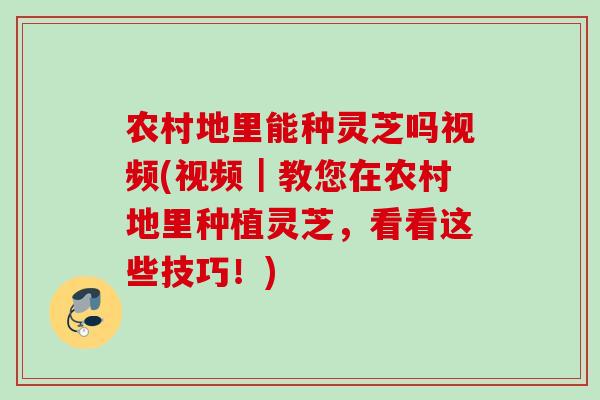 农村地里能种灵芝吗视频(视频｜教您在农村地里种植灵芝，看看这些技巧！)
