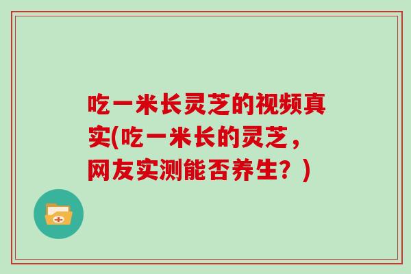 吃一米长灵芝的视频真实(吃一米长的灵芝，网友实测能否养生？)
