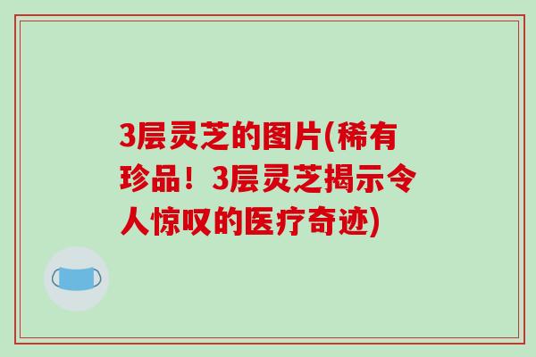 3层灵芝的图片(稀有珍品！3层灵芝揭示令人惊叹的医疗奇迹)