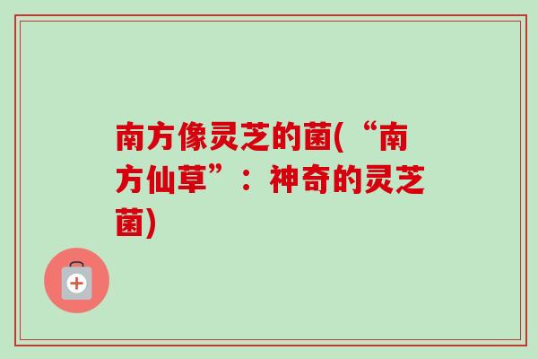 南方像灵芝的菌(“南方仙草”：神奇的灵芝菌)