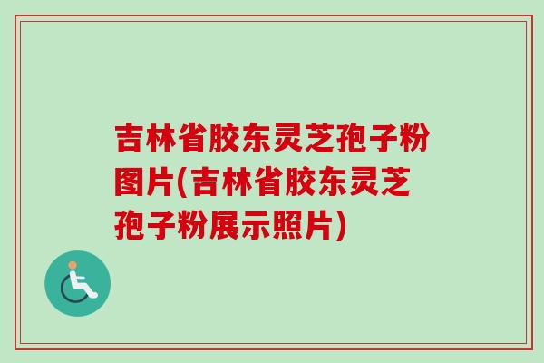 吉林省胶东灵芝孢子粉图片(吉林省胶东灵芝孢子粉展示照片)