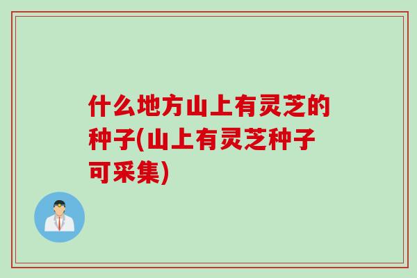 什么地方山上有灵芝的种子(山上有灵芝种子可采集)