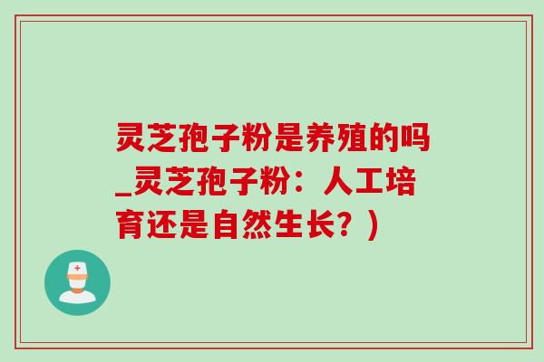 灵芝孢子粉是养殖的吗_灵芝孢子粉：人工培育还是自然生长？)