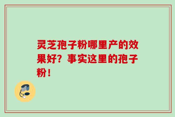 灵芝孢子粉哪里产的效果好？事实这里的孢子粉！