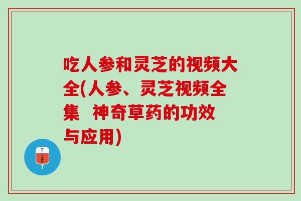吃人参和灵芝的视频大全(人参、灵芝视频全集  神奇草药的功效与应用)