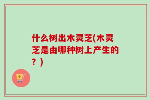 什么树出木灵芝(木灵芝是由哪种树上产生的？)