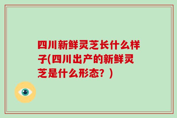 四川新鲜灵芝长什么样子(四川出产的新鲜灵芝是什么形态？)