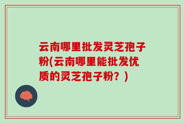 云南哪里批发灵芝孢子粉(云南哪里能批发优质的灵芝孢子粉？)