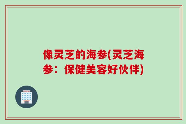 像灵芝的海参(灵芝海参：保健美容好伙伴)