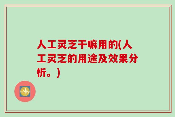 人工灵芝干嘛用的(人工灵芝的用途及效果分析。)