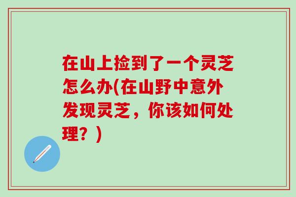 在山上捡到了一个灵芝怎么办(在山野中意外发现灵芝，你该如何处理？)