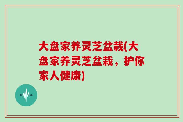 大盘家养灵芝盆栽(大盘家养灵芝盆栽，护你家人健康)