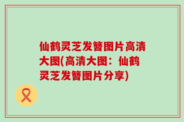 仙鹤灵芝发簪图片高清大图(高清大图：仙鹤灵芝发簪图片分享)