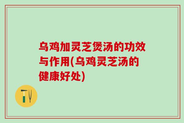 乌鸡加灵芝煲汤的功效与作用(乌鸡灵芝汤的健康好处)