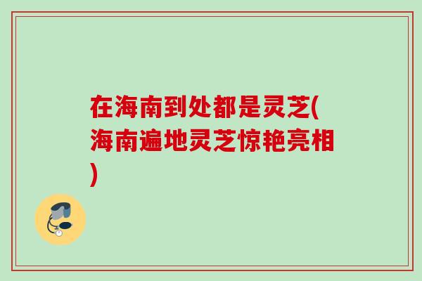 在海南到处都是灵芝(海南遍地灵芝惊艳亮相)