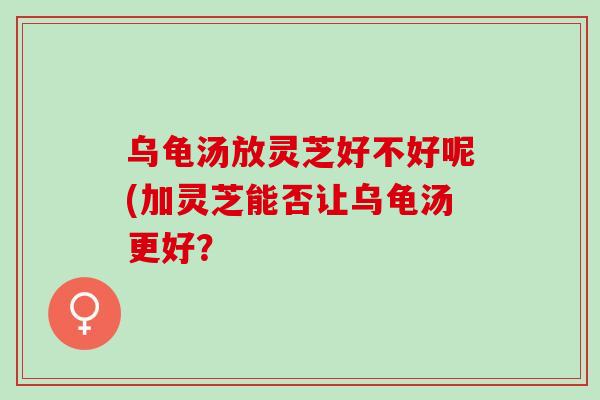 乌龟汤放灵芝好不好呢(加灵芝能否让乌龟汤更好？