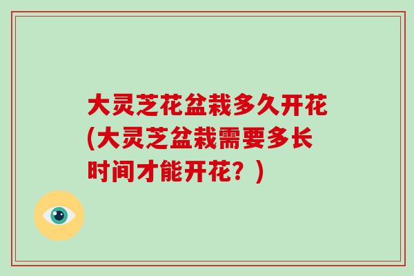 大灵芝花盆栽多久开花(大灵芝盆栽需要多长时间才能开花？)