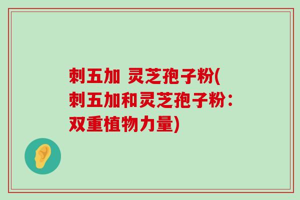 刺五加 灵芝孢子粉(刺五加和灵芝孢子粉：双重植物力量)