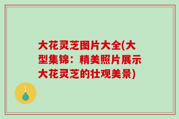 大花灵芝图片大全(大型集锦：精美照片展示大花灵芝的壮观美景)