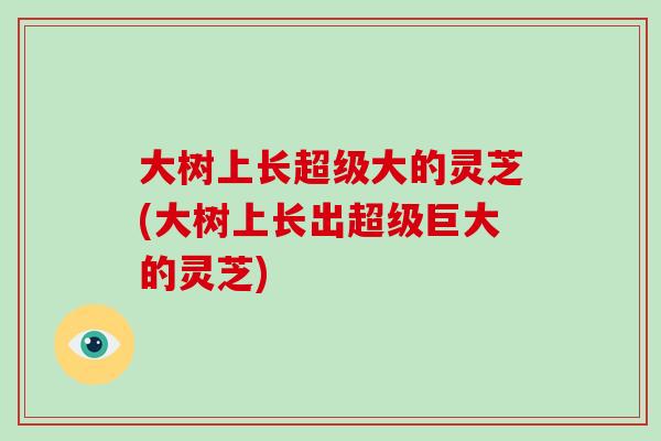 大树上长超级大的灵芝(大树上长出超级巨大的灵芝)