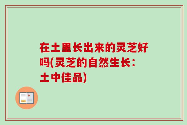 在土里长出来的灵芝好吗(灵芝的自然生长：土中佳品)