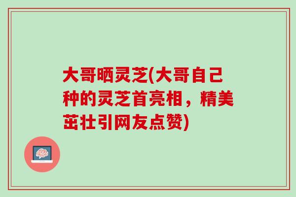 大哥晒灵芝(大哥自己种的灵芝首亮相，精美茁壮引网友点赞)