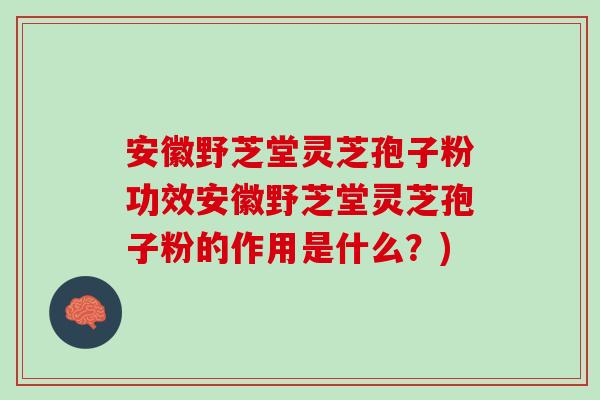 安徽野芝堂灵芝孢子粉功效安徽野芝堂灵芝孢子粉的作用是什么？)