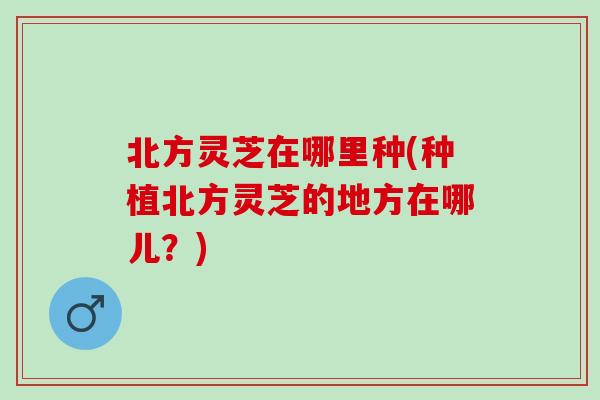 北方灵芝在哪里种(种植北方灵芝的地方在哪儿？)