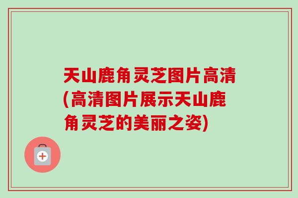 天山鹿角灵芝图片高清(高清图片展示天山鹿角灵芝的美丽之姿)