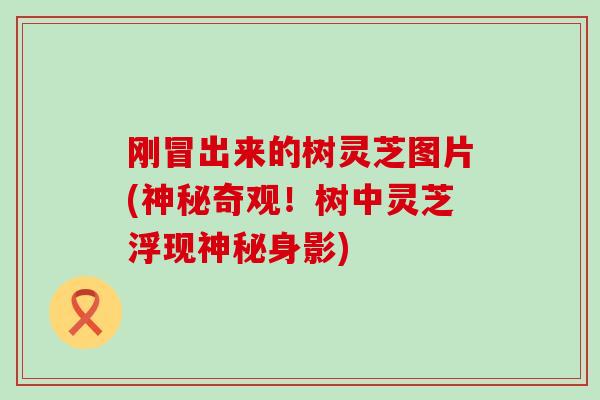 刚冒出来的树灵芝图片(神秘奇观！树中灵芝浮现神秘身影)