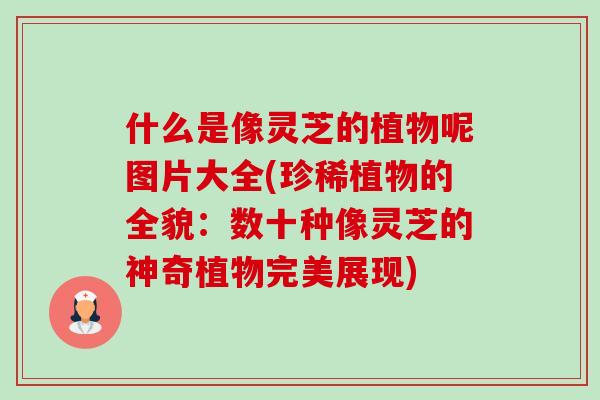 什么是像灵芝的植物呢图片大全(珍稀植物的全貌：数十种像灵芝的神奇植物完美展现)