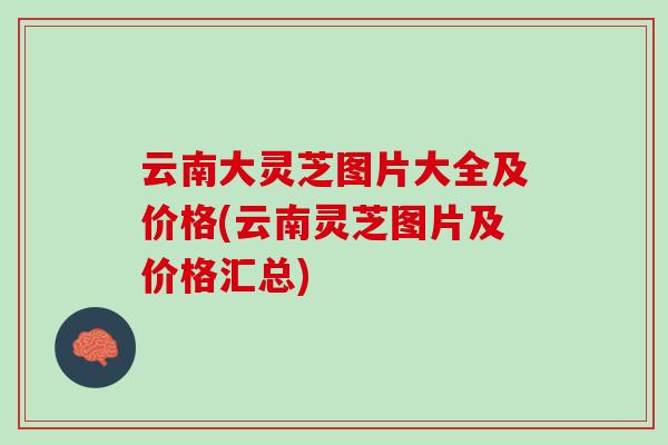云南大灵芝图片大全及价格(云南灵芝图片及价格汇总)