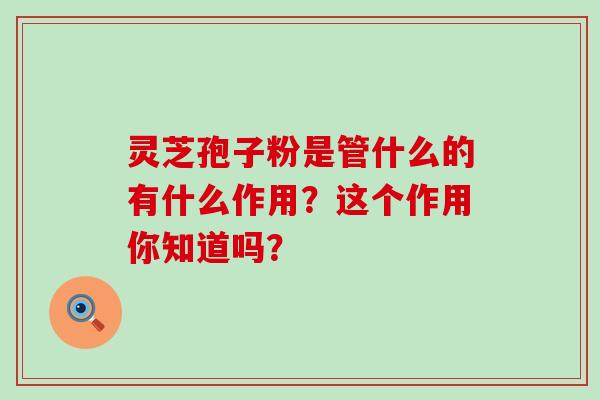 灵芝孢子粉是管什么的有什么作用？这个作用你知道吗？