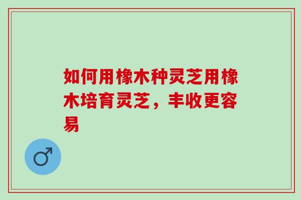 如何用橡木种灵芝用橡木培育灵芝，丰收更容易
