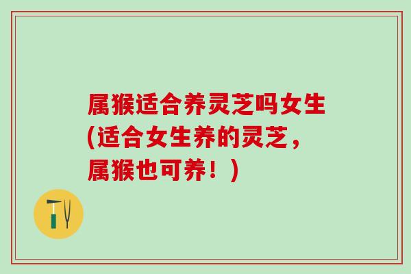 属猴适合养灵芝吗女生(适合女生养的灵芝，属猴也可养！)