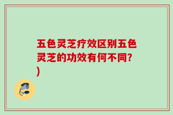 五色灵芝疗效区别五色灵芝的功效有何不同？)