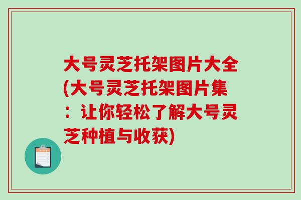 大号灵芝托架图片大全(大号灵芝托架图片集：让你轻松了解大号灵芝种植与收获)