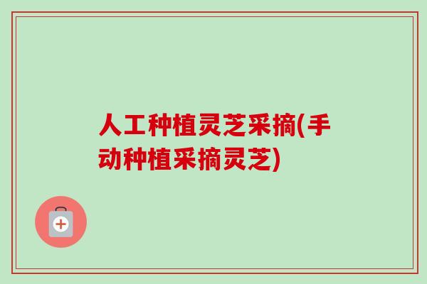 人工种植灵芝采摘(手动种植采摘灵芝)