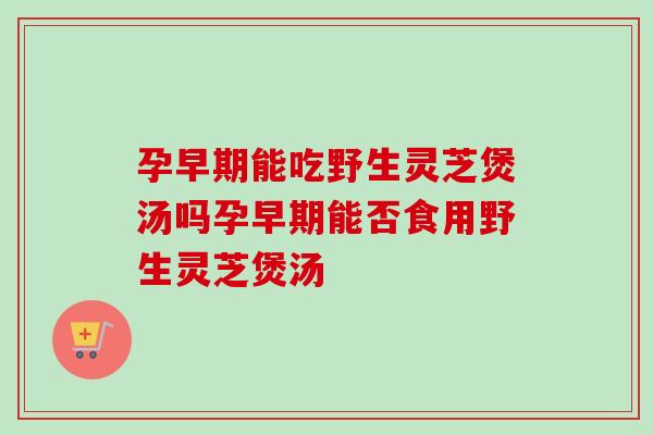 孕早期能吃野生灵芝煲汤吗孕早期能否食用野生灵芝煲汤