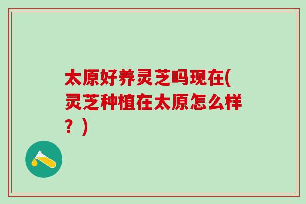 太原好养灵芝吗现在(灵芝种植在太原怎么样？)