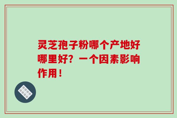 灵芝孢子粉哪个产地好哪里好？一个因素影响作用！