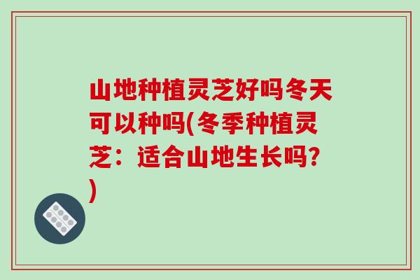 山地种植灵芝好吗冬天可以种吗(冬季种植灵芝：适合山地生长吗？)