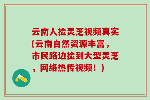 云南人捡灵芝视频真实(云南自然资源丰富，市民路边捡到大型灵芝，网络热传视频！)