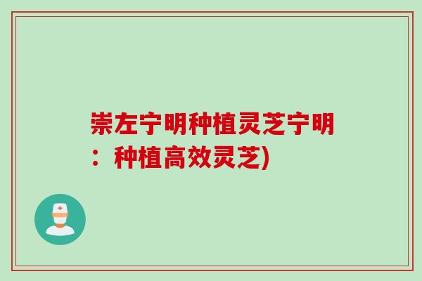 崇左宁明种植灵芝宁明：种植高效灵芝)